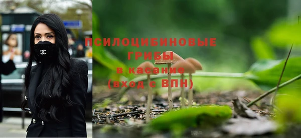 дурь Абдулино