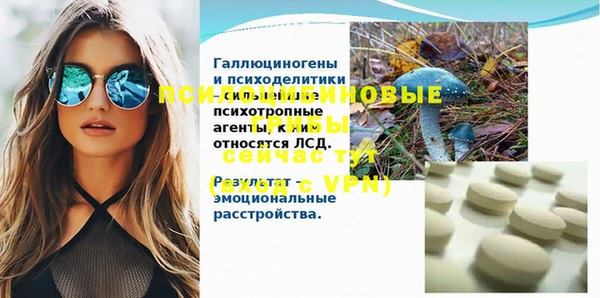марихуана Абаза